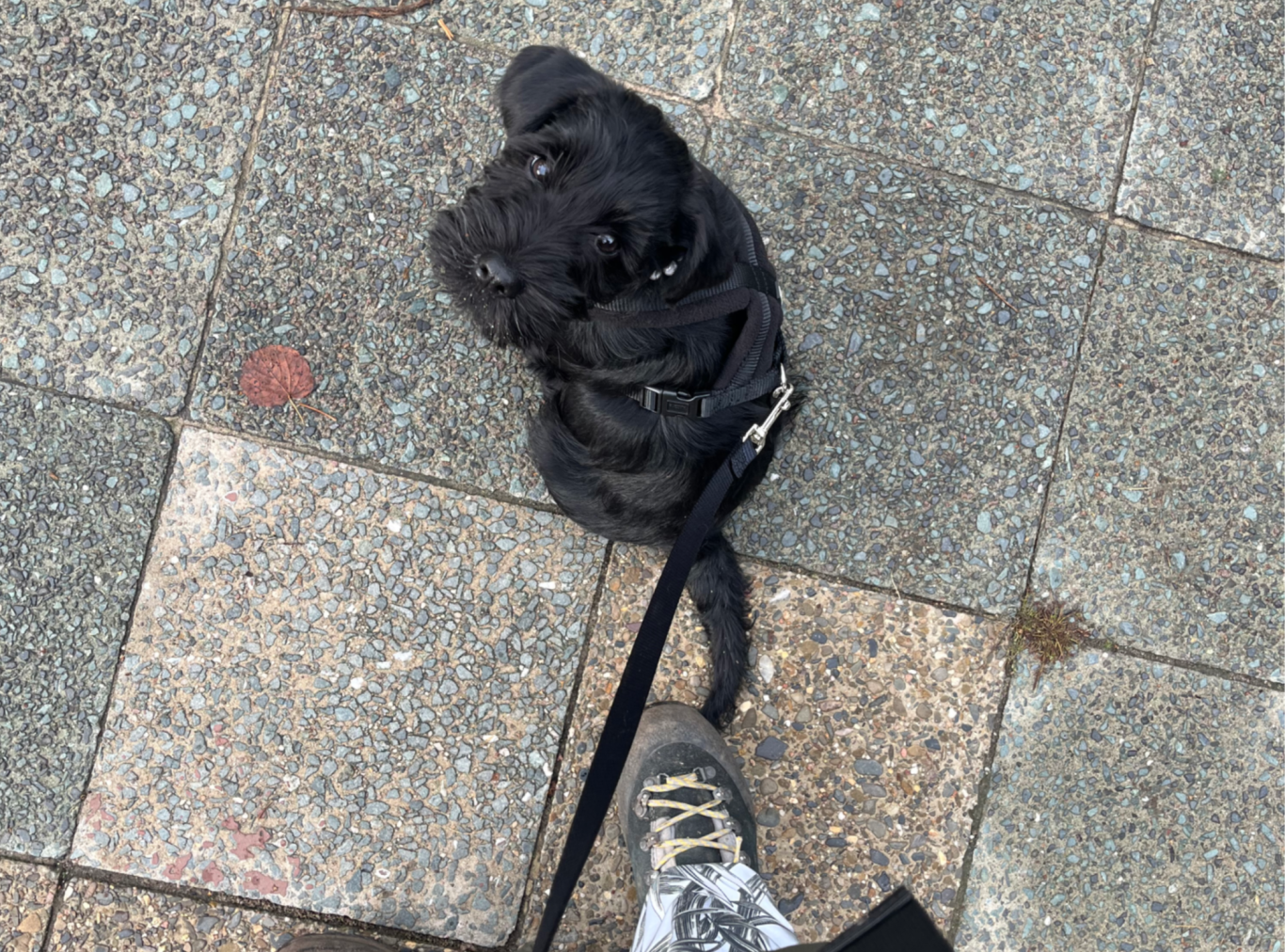 mit den Öffis unterwegs